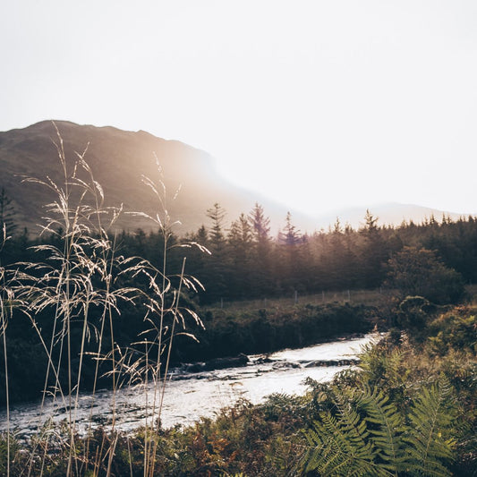 Making earth day every day